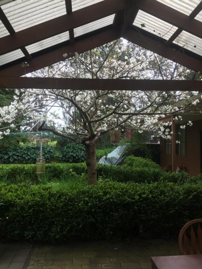 Somerville Sherwood Park Bed And Breakfast מראה חיצוני תמונה