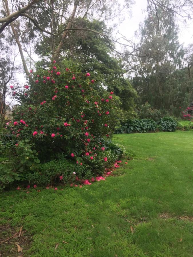 Somerville Sherwood Park Bed And Breakfast מראה חיצוני תמונה