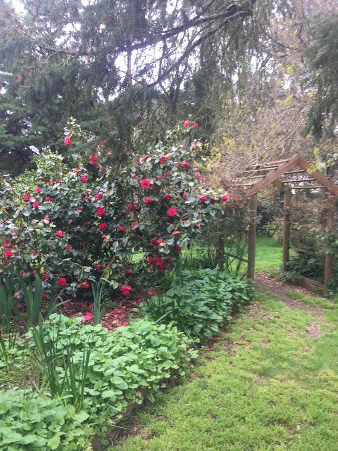 Somerville Sherwood Park Bed And Breakfast מראה חיצוני תמונה
