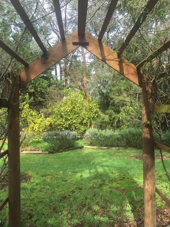 Somerville Sherwood Park Bed And Breakfast מראה חיצוני תמונה