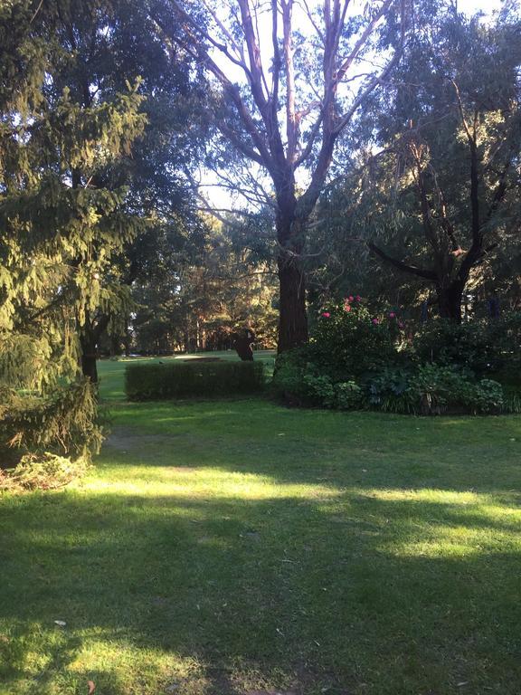 Somerville Sherwood Park Bed And Breakfast מראה חיצוני תמונה