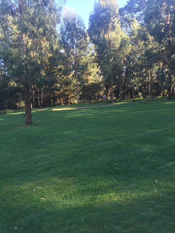 Somerville Sherwood Park Bed And Breakfast מראה חיצוני תמונה