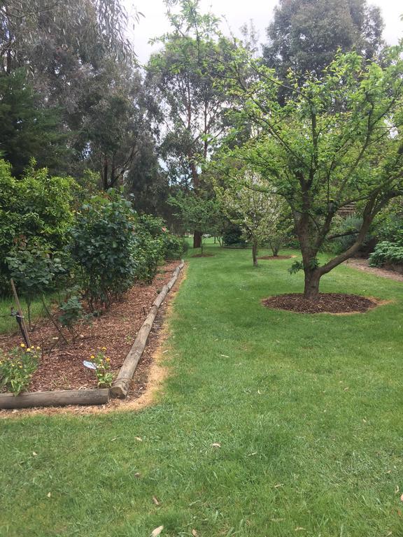 Somerville Sherwood Park Bed And Breakfast מראה חיצוני תמונה