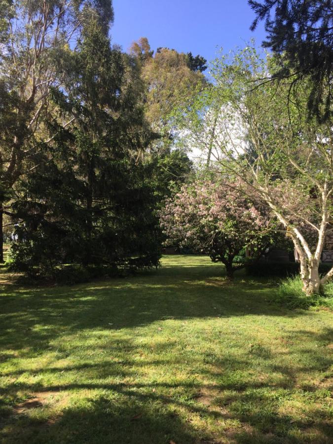 Somerville Sherwood Park Bed And Breakfast מראה חיצוני תמונה
