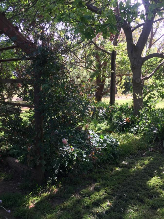 Somerville Sherwood Park Bed And Breakfast מראה חיצוני תמונה